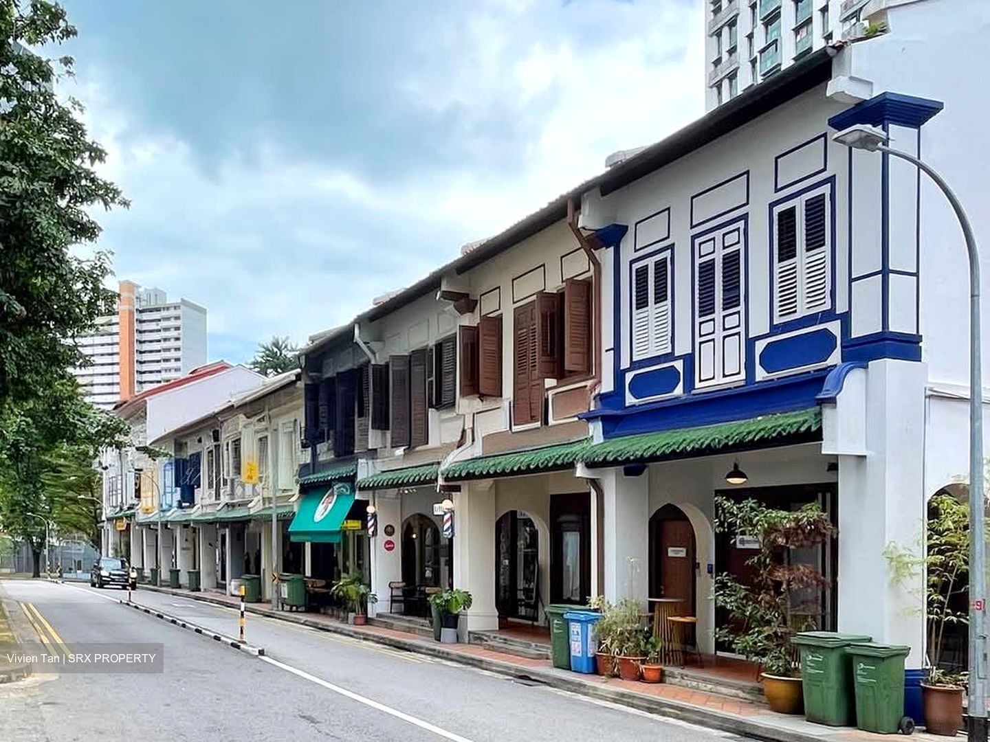 Tanjong Pagar Conservation Area (D2), Shop House #533103541